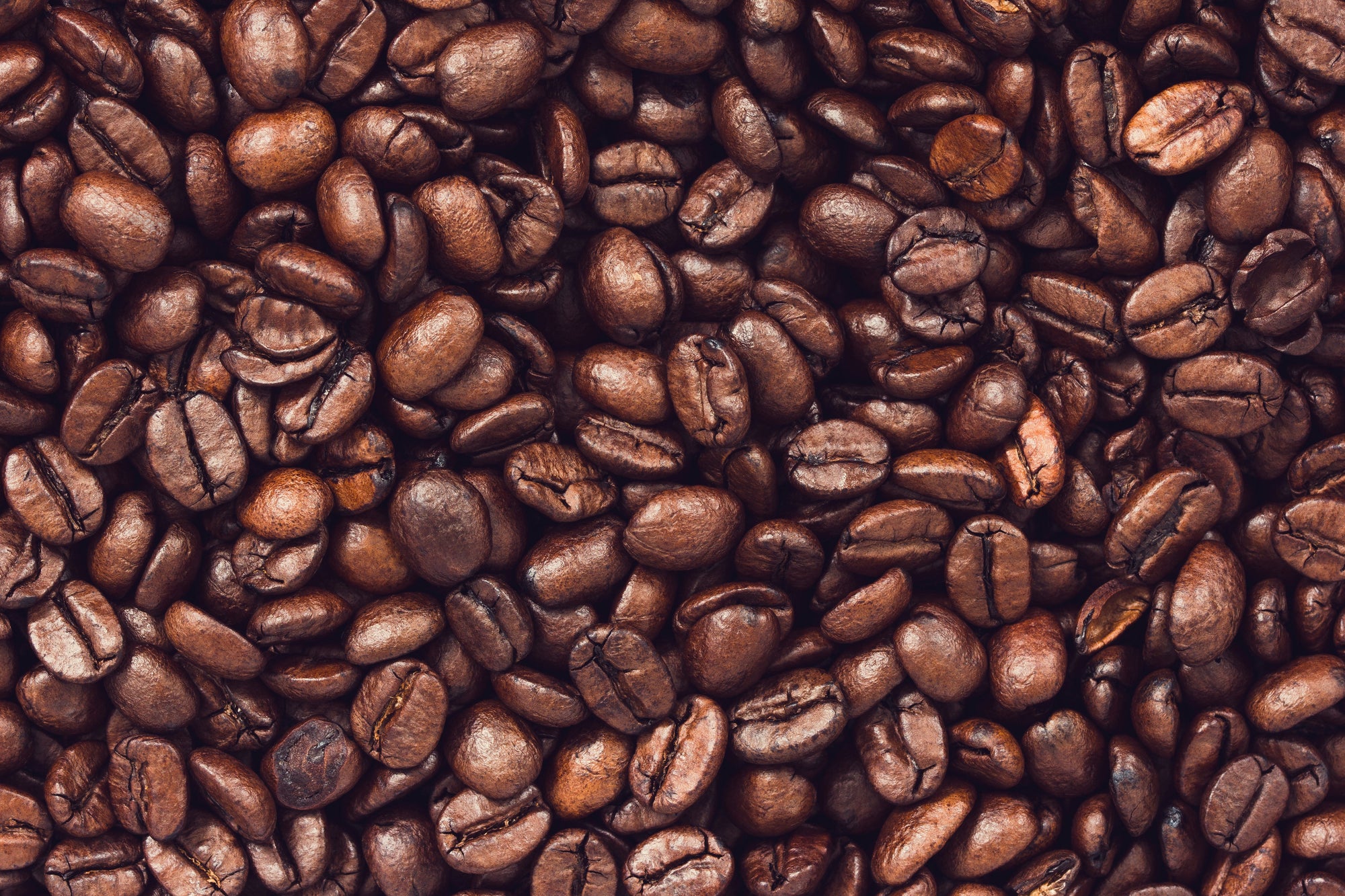 Ember Brews | Curated Coffee & Tea