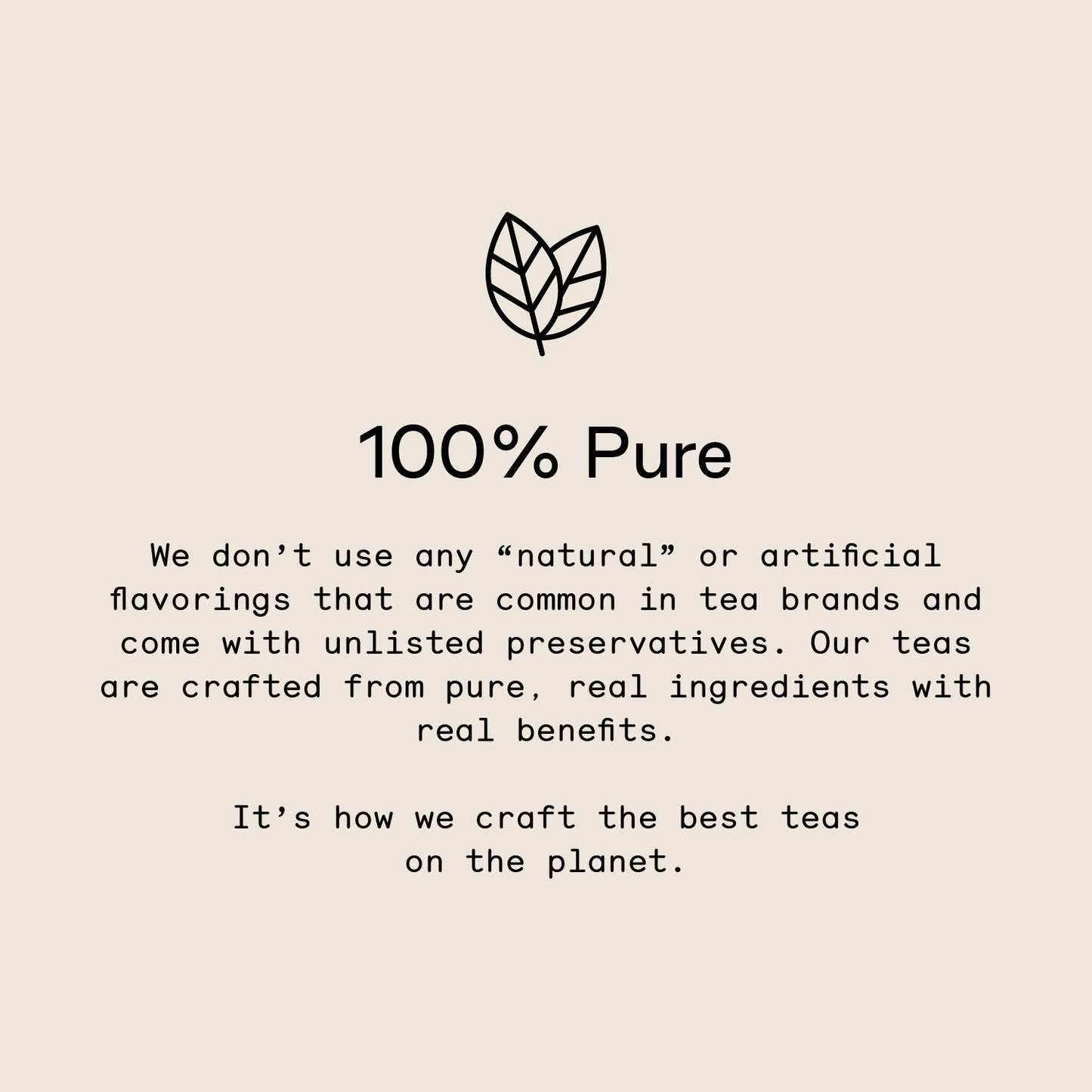 All Matcha - 4 Pack | Ember Coffee & Tea
